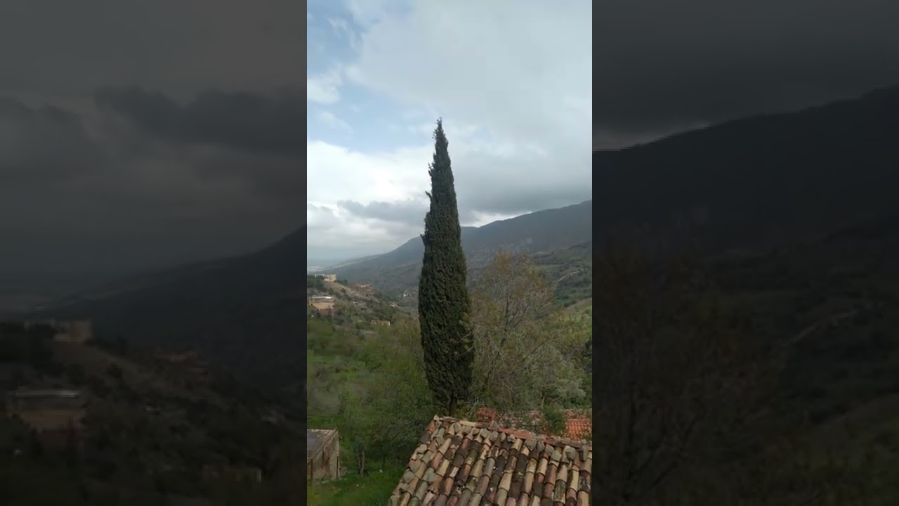 تيتاست حربيل سطيف