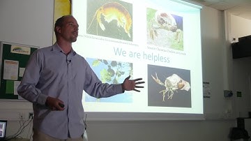 Invasive species release and control | Phil Buckley | TEDxCCGrammarSchool