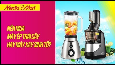 Nên mua máy ép trái cây hay máy xay sinh tố trong mùa hè - Điện máy MediaMart