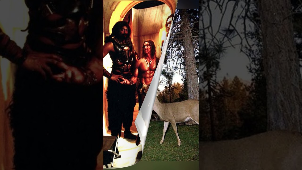 Epic Historical Moments CAPTURED – See Them to Believe Them! 