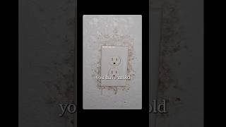 How To Test Your Home For Mold