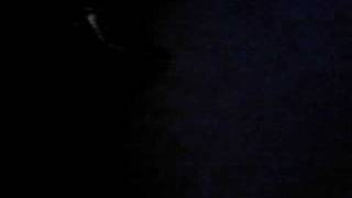 PLUS0006.AVI