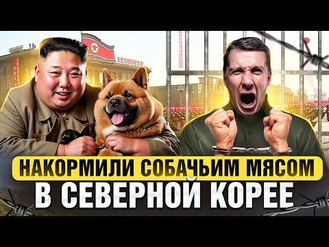 Реальная Северная Корея┃Гастротур по КНДР┃Что ест Ким Чен Ын ? Гастро путешествие Пхеньян┃Рестораны