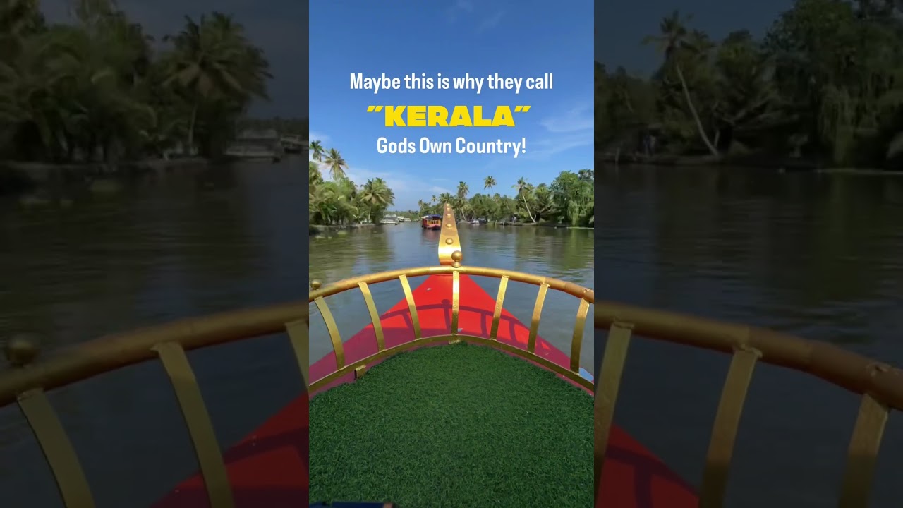 How beautiful is this? 