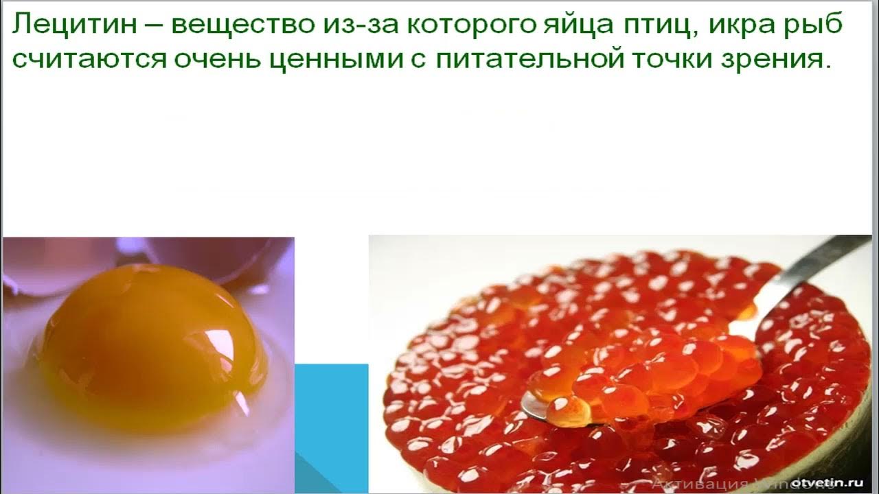 Lecithin (in English). Лецитин (на английском языке) YouTube