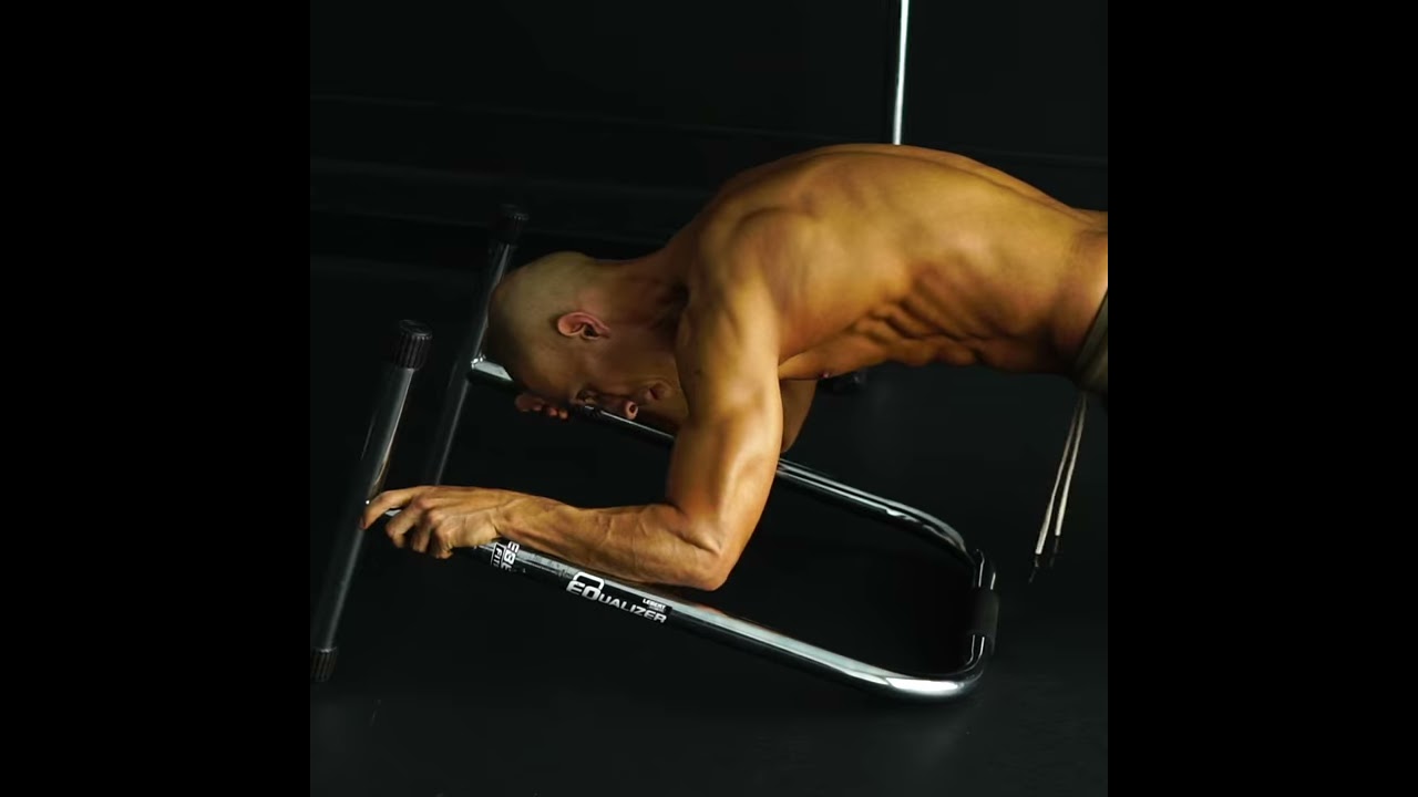 Lebert equalizer chest exercises shop