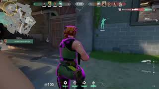 Şahin Uçtu Kör Oldu C