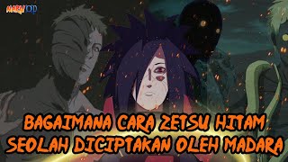 Bagaimana Cara Zetsu HItam Seolah-olah Diciptakan oleh Madara