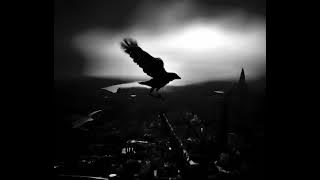 PARALLEL - BOUNDLESS BRIDGE (TEASER)