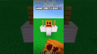 Minecraft Logic...😂 IRON GOLEM LOGIC?! #minecraft #shorts