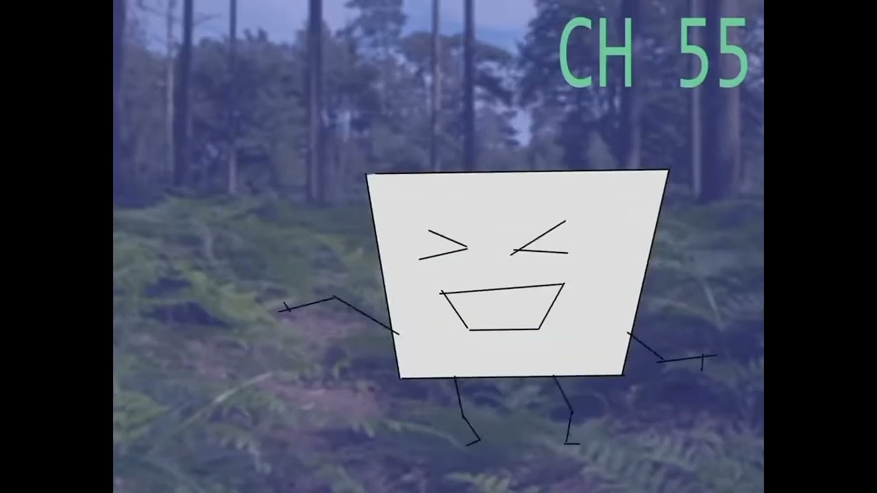 Channel 55 - White Square Singing; "Keep your feet on the ground, and keep reaching for the stars!"