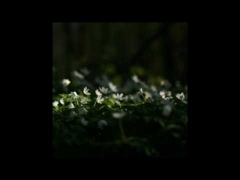 Blazej Malinowski — Blazej Malinowski - Factors (Full Album 2013)