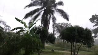Rain in Uganda