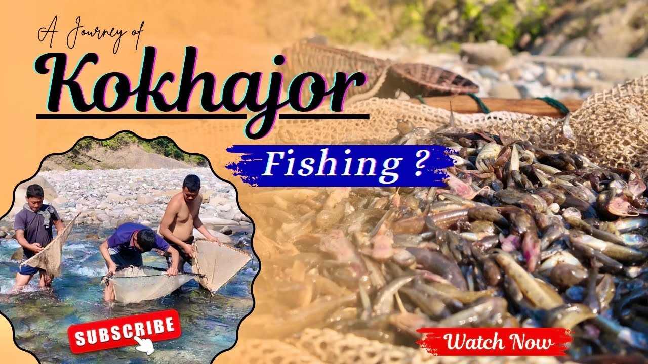Local Fishing in Kokhajor🎣 | A Village Fishing Journey