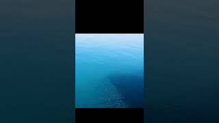 Subhan Allaha trending viral shortvideo shortsfeed fish fishing