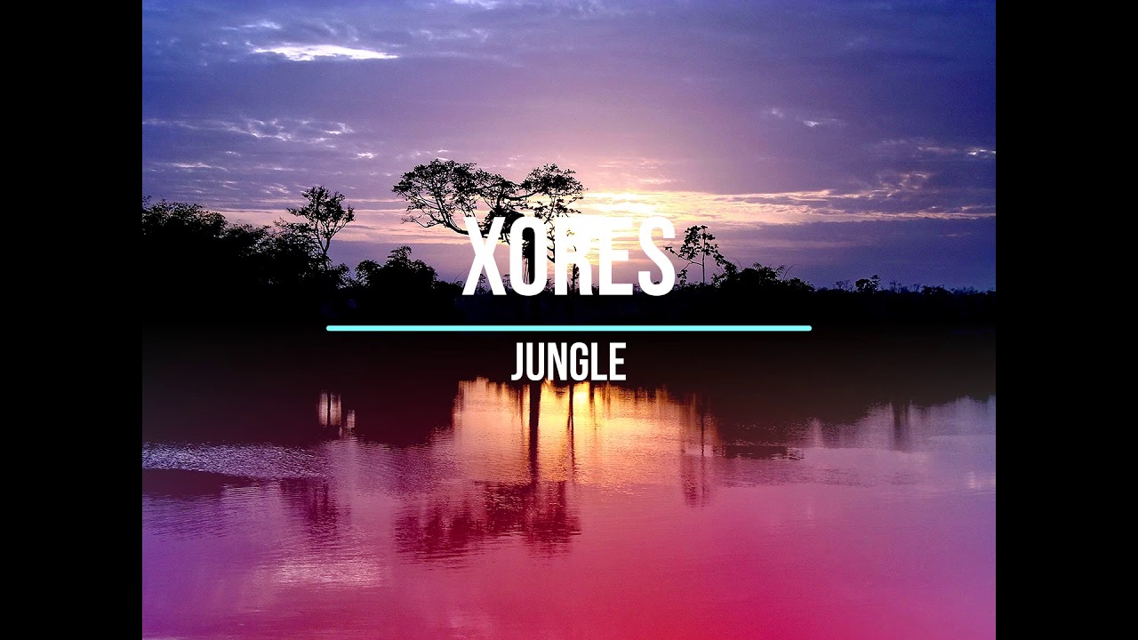 nane aceeasi jungla fileshare