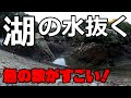 耐震工事で22年ぶりに鎌北湖の水を抜いた結果…