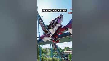 Planet Coaster 2 Update 4: New Ride & Coasters