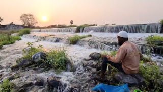 Fishing | catching lots of baam fishes in heavy falls water | fishing video #fishing #fish