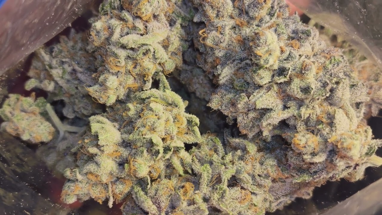 Superboof strain instagram @transcendent420