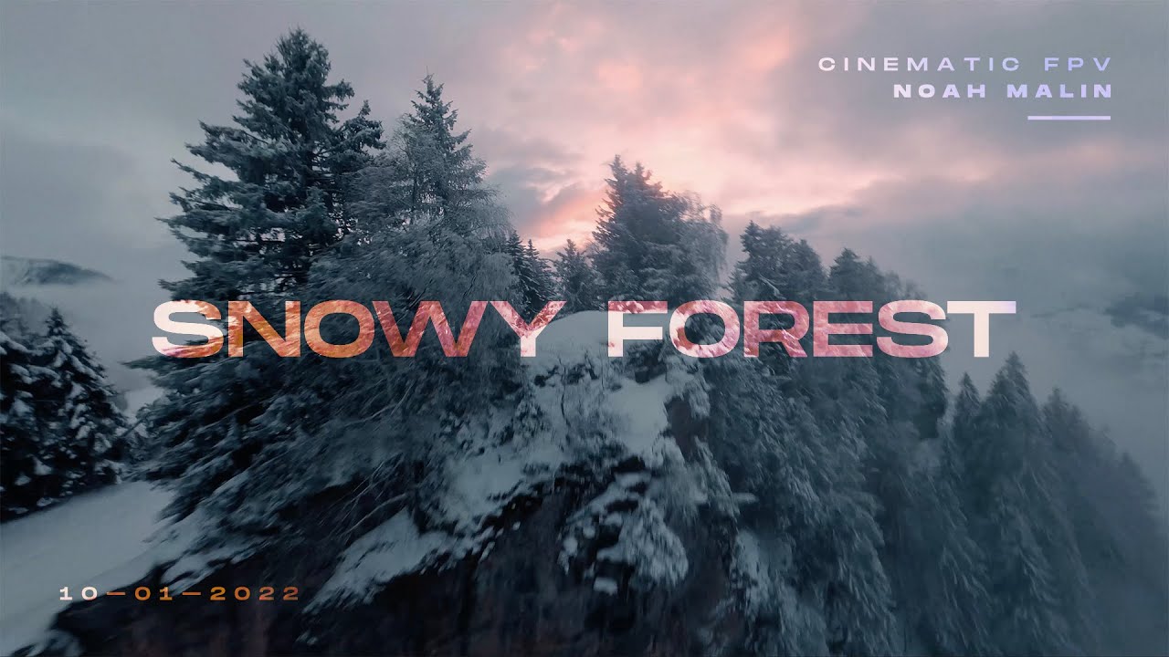 SNOWY FOREST — Cinematic FPV