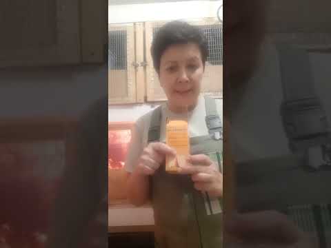 Как повысить яйценоскость