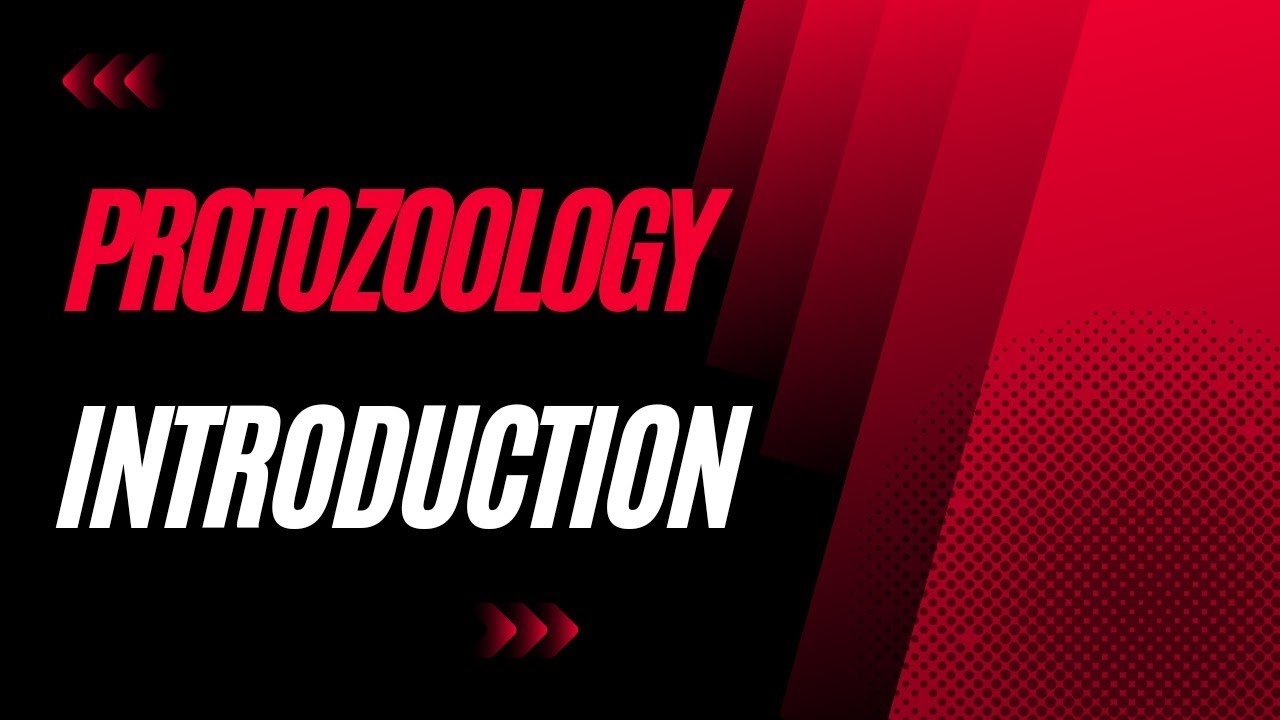 Protozoology Introduction || Protozoology basic terminologies