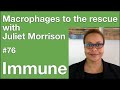 Immune 76 macrophages to the rescue with juliet morrison