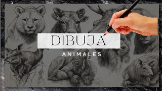 Cómo dibujar: Animales