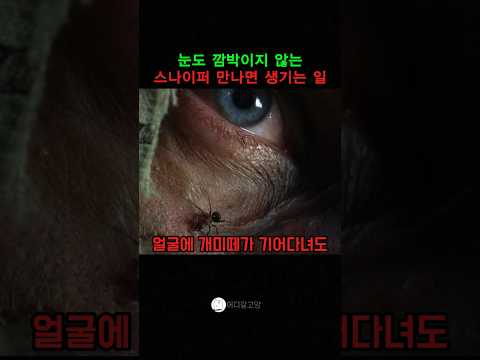 눈도 깜박이지 않는 스나이퍼 만나면 생기는 일