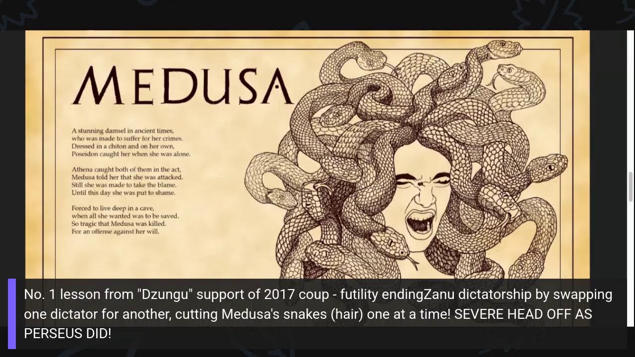 Lesson from "Dzungu" support of 2017 coup - futility ending Zanu dictatorship 1 dictator at a time!