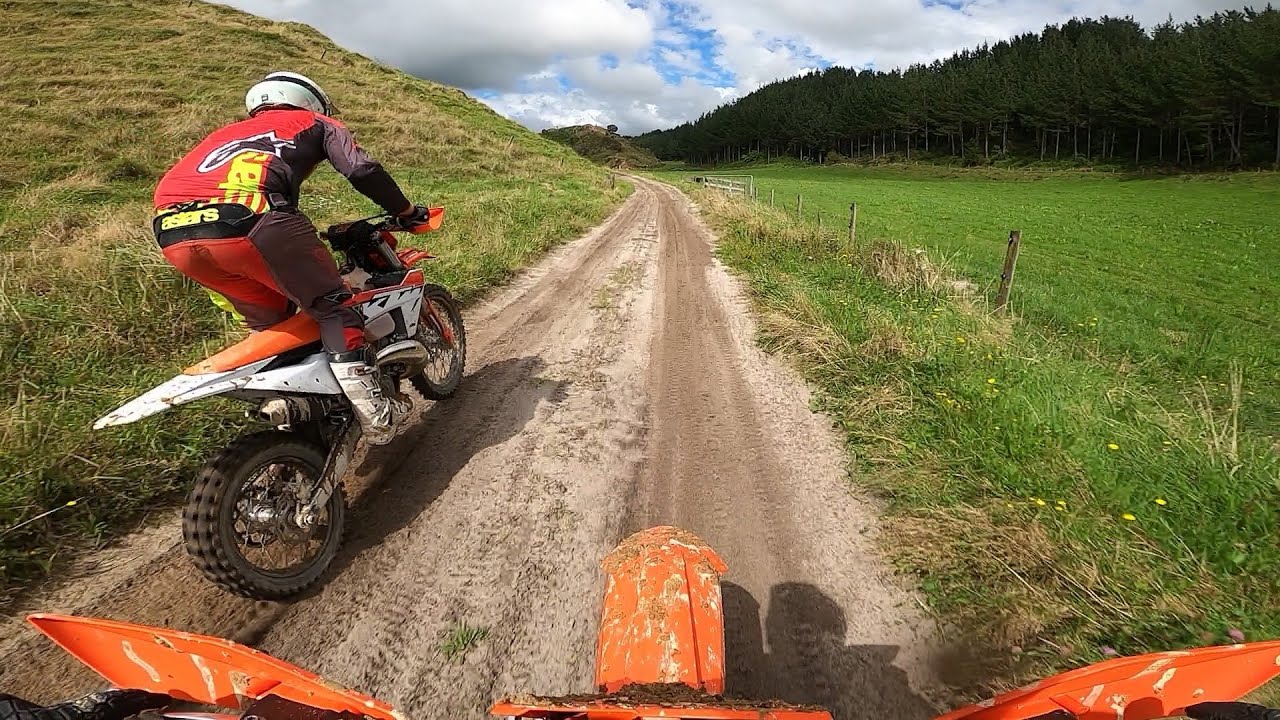 pongakawa trail park