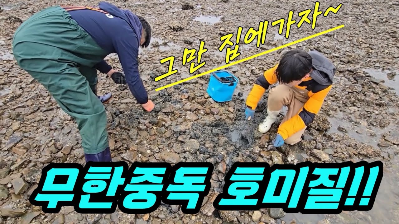 안면도 샛별해수욕장 해루질 다녀왔습니다. 겨울바다 해루질과 캠핑!