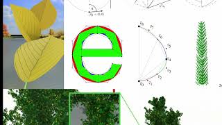 Real-Time GPU Tree Generation [HD]