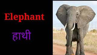 जानवरोंके नाम | जानवर | animals in hindi | janvar hindime | janvaronke naam hindi | सभी जीव