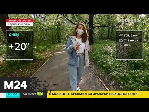 "Утро": какая погода ждет москвичей в пятницу - Москва 24