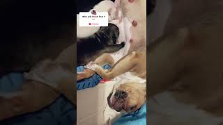 Did You Guess Right?