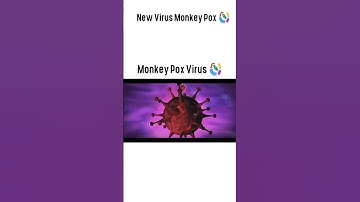 Monkey Pox Virus