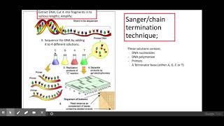 6.1.3. Manipulating genomes PART 1 a) Sequencing DNA
