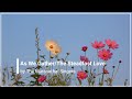 As We Gather/The Steadfast Love of the Lord with Lyrics Maranatha! Music (HD)