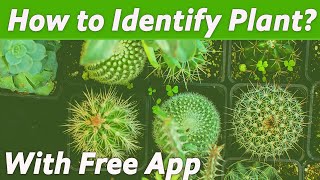 How to Identify a Plant with Free App screenshot 5