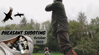 Pheasant Shooting | Driven Birds | Working Dog screenshot 4