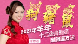2027年十二生肖運勢(狗豬鼠)｜ 屬X的朋友今年有「刑太歲」代表在人際關係方面一般 不要隨便與人合作理財投資｜屬X的朋友今年有「三台吉星」代表一步一步地進步｜屬X的朋友今年有『小耗凶星」代表輕微破財
