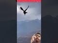 Ang Higante ng kalangitan: Golden Eagle vs. Lynx!🦅 🏔️.#goldeneagle #wildlife #naturelsbrutal