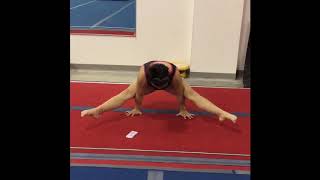 Straddle Hand Support