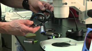 NIGHTSEA Fluorescence Adapter for Stereomicroscopes Universal Fluorescent Attachment For Stereo Microscopes