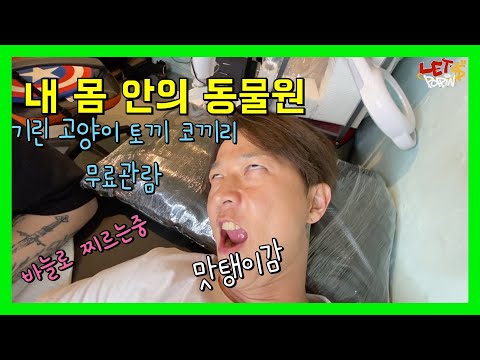 레츠팝핀! 내 몸안의 동물원편 / 화가로도 활동하는 예술가라  그런지 그림에 대한 사랑과 애착이 많은 형~ 역시 예술가 답게 동물도 사랑하는구나~응 다음 문신충!