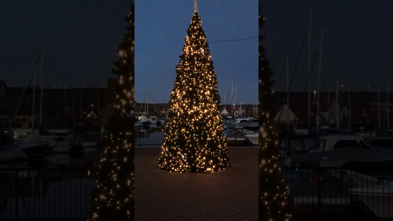 Christmas Tree at Port Solent Marina