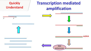 Transcription Mediated Amplification | Nucleic Acid Sequence Based Amplification