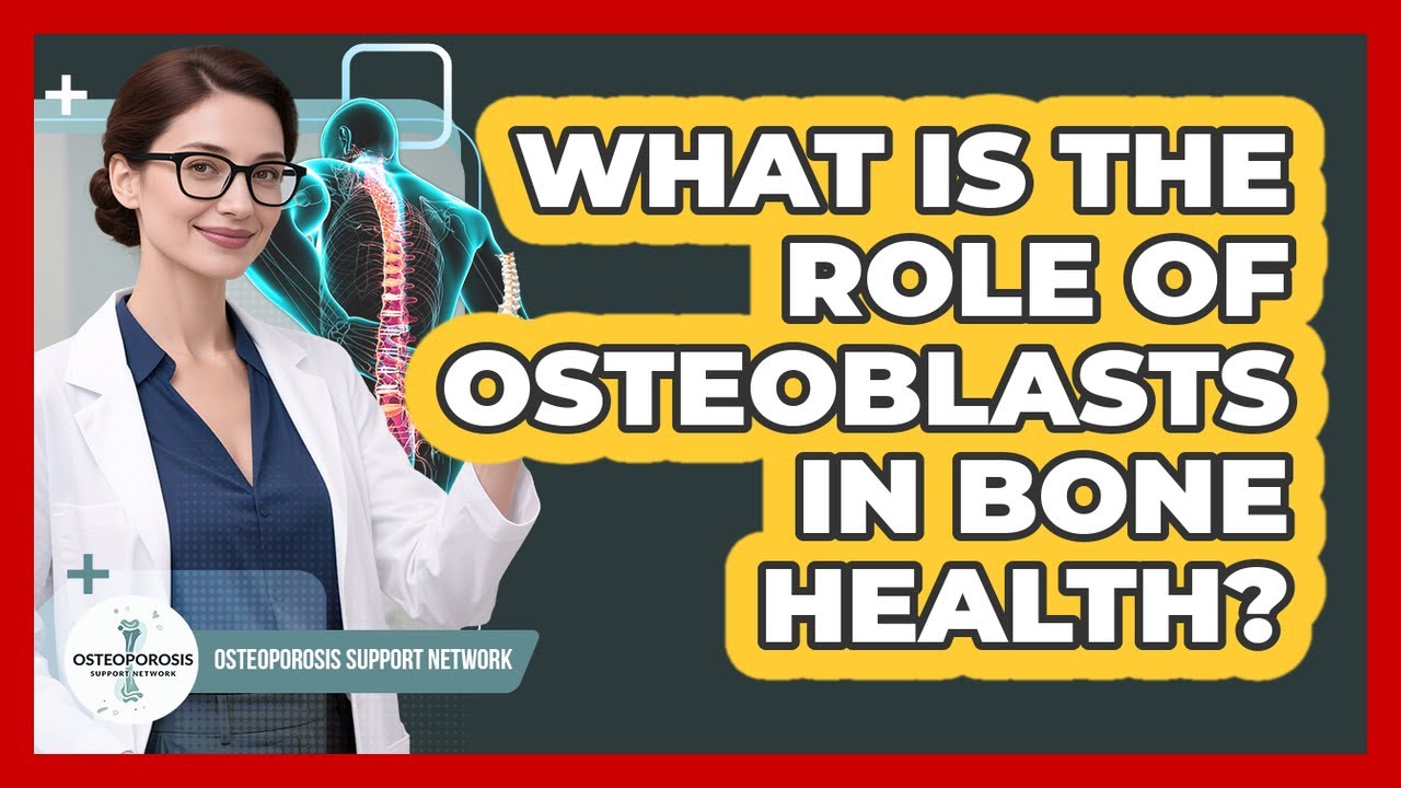 What Is The Role Of Osteoblasts In Bone Health?